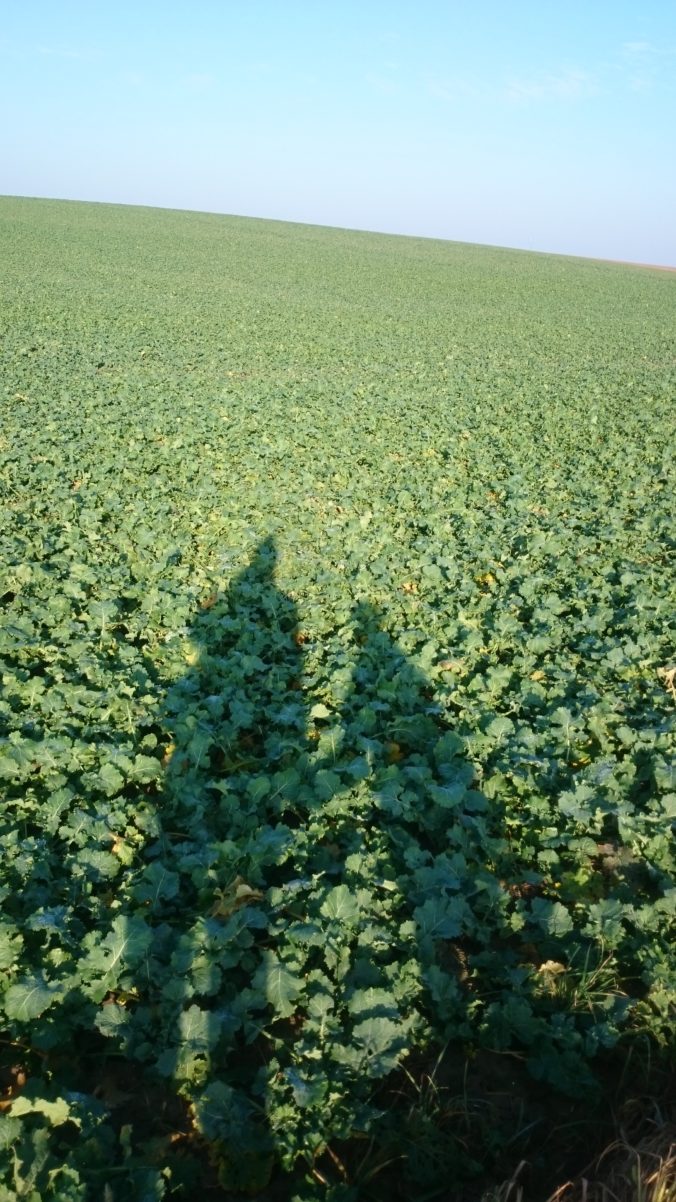 Steven Deschuyteneer Top 10 voordelen verbinding natuur