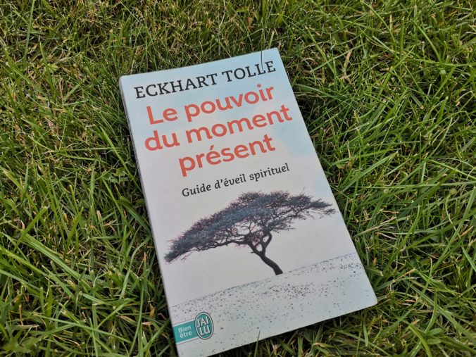 Steven Deschuyteneer Boeken Eckhart Tolle Le pouvoir du moment présent