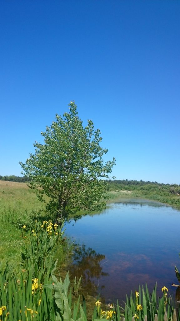 Steven Deschuyteneer Dit is wat iedereen moet weten over voeding natuur