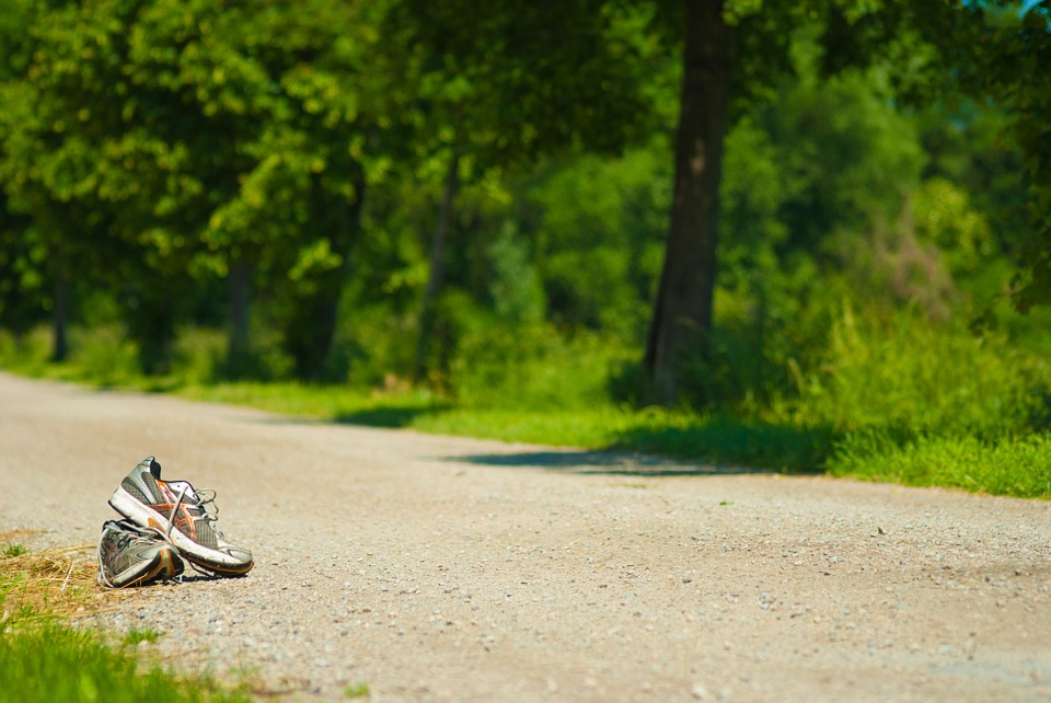 Steven Deschuyteneer Hoe makkelijk de 20km van Brussel lopen schoenen