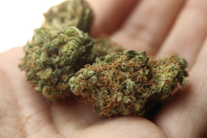 Steven Deschuyteneer Ik ben een natuurgeneeskundige en dit is wat je echt moet weten marijuana