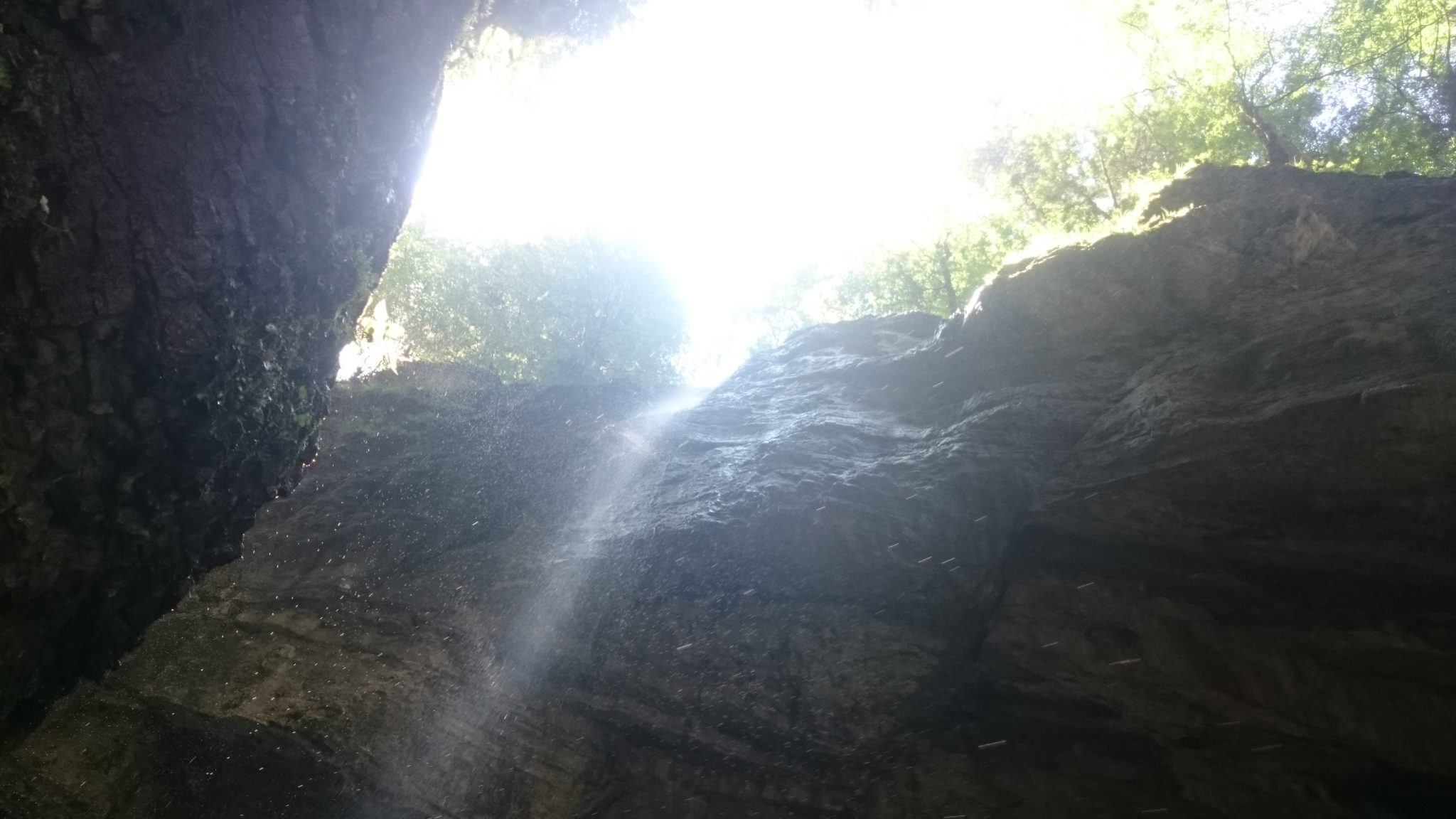 21 lessen voor 21st eeuw | Hoe voeding mijn leven verandert