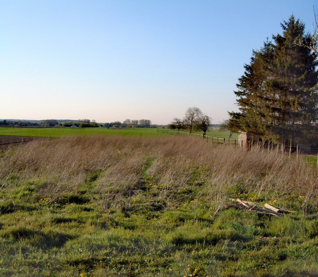 Steven Deschuyteneer De onbewuste problemen van de hippe tuin grond