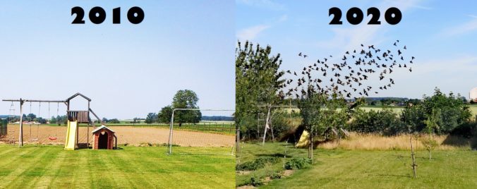 Steven Deschuyteneer Hoe eenvoudig u tuin gezonder maken 2010 vs 2020