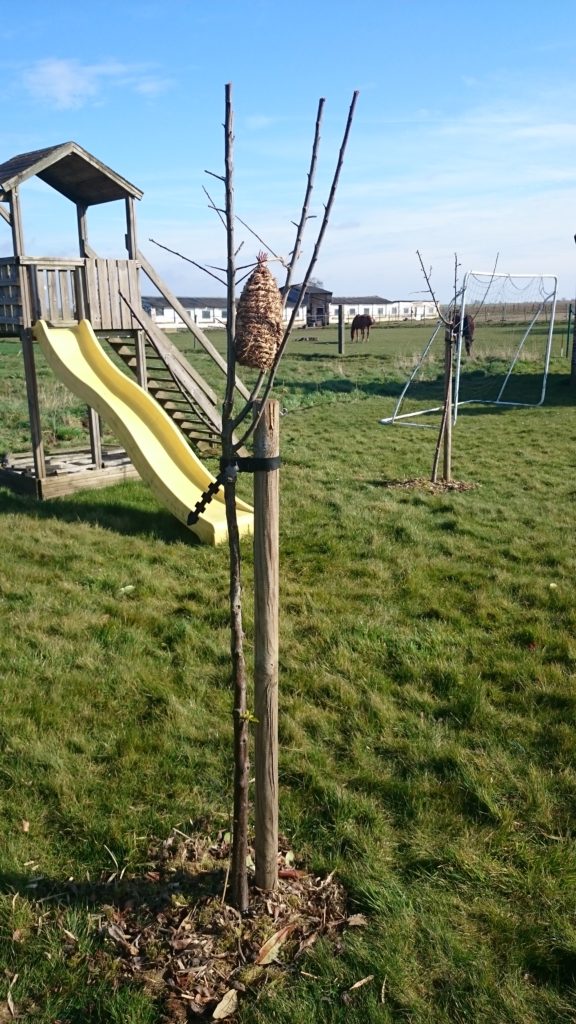 Steven Deschuyteneer Hoe eenvoudig u tuin gezonder maken landbouw fruit bomen