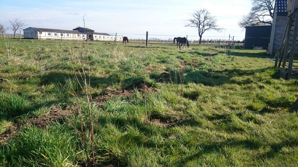 Steven Deschuyteneer Hoe eenvoudig u tuin gezonder maken landbouw haag planten