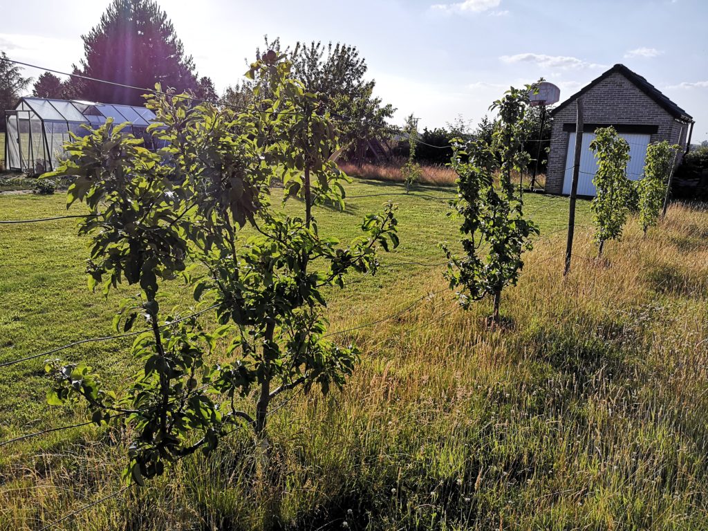 Steven Deschuyteneer Hoe eenvoudig u tuin gezonder maken landbouw leibomen