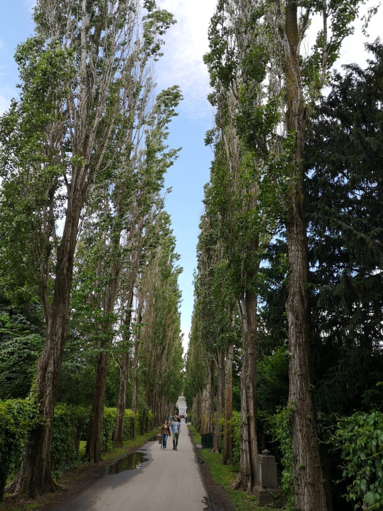 Steven Deschuyteneer Hoe en waarom iedereen Kopenhagen zou moeten bezoeken Assistens Kirkegard