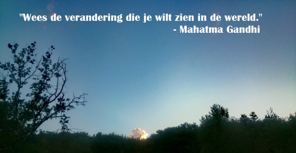 Steven Deschuyteneer Wat is u reden van bestaan Mahatma Gandhi