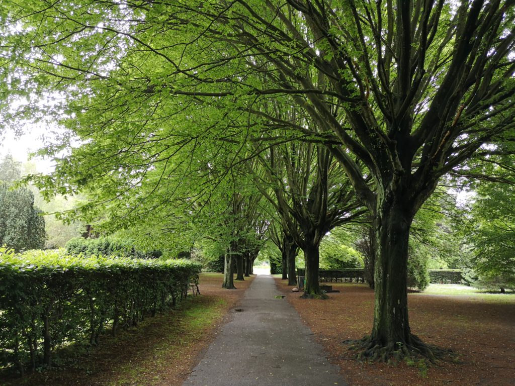 Steven Deschuyteneer Wat kan er geleerd worden van Kopenhagen park