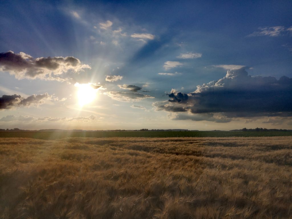 Steven Deschuyteneer Elke dag bidden, dit is het verschil dat het maakt natuur