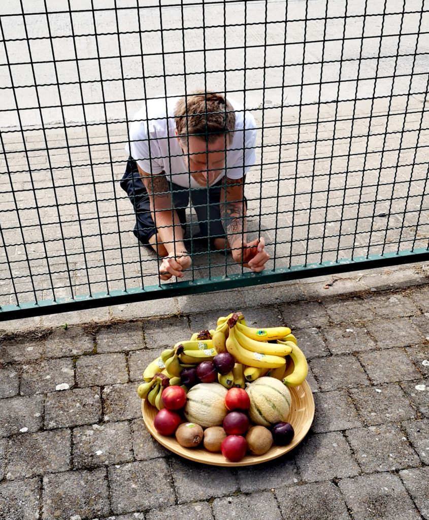 Steven Deschuyteneer Ik teste hoe lang ik kan leven zonder te eten en hier is het resultaat