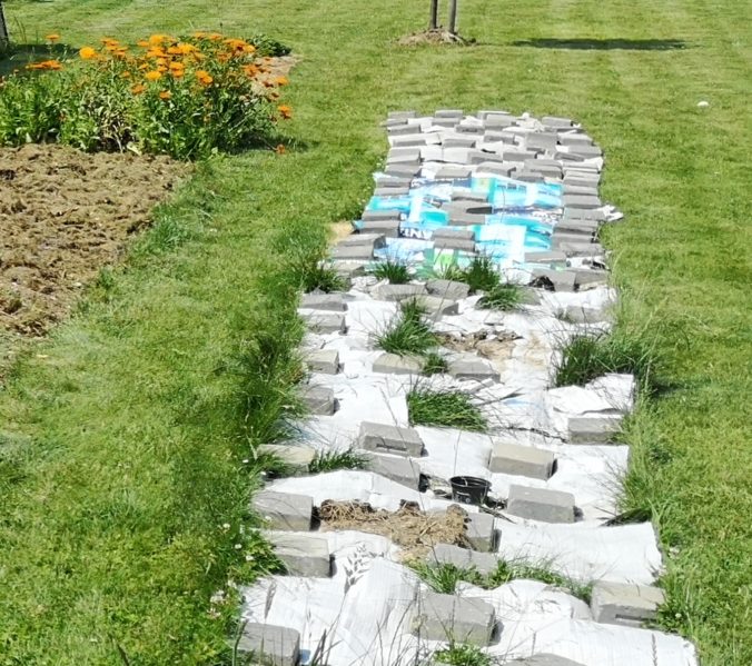 Steven Deschuyteneer Hoe eenvoudig zonder moeite een moestuintje beginnen karton
