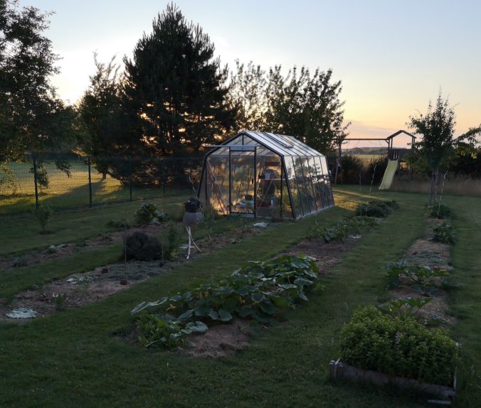 Steven Deschuyteneer Plantjes of zaadjes planten in de groentetuin Beauvechain