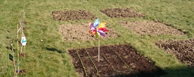 Steven Deschuyteneer Plantjes of zaadjes planten in de groentetuin grond