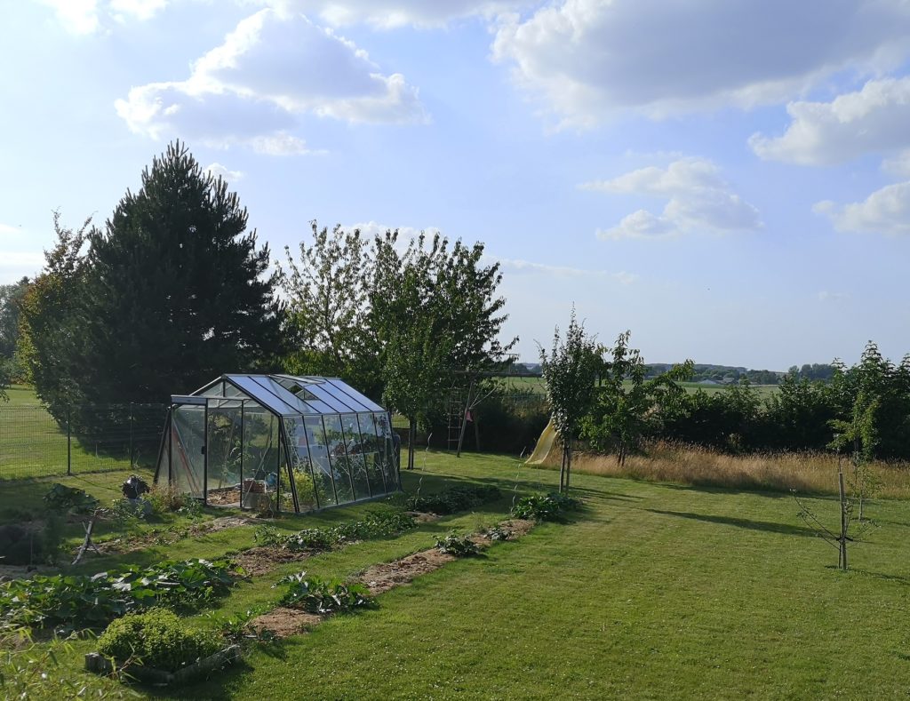 Steven Deschuyteneer Plantjes of zaadjes planten in de groentetuin tuin