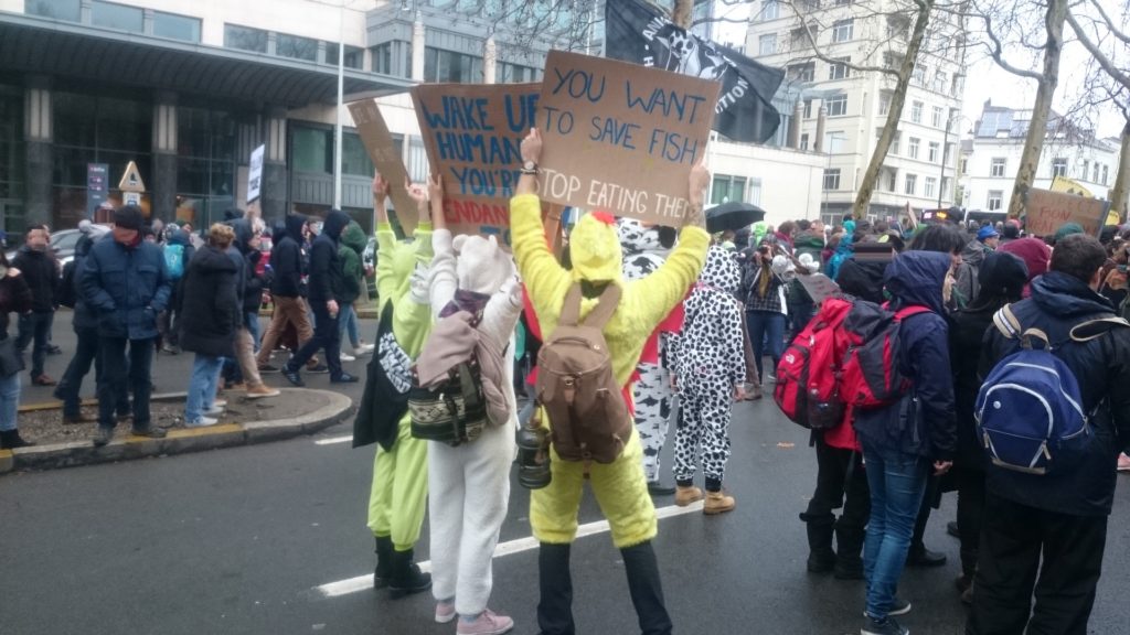 Steven Deschuyteneer Hoe iedereen makkelijk kan bijdrage tot een beter milieu Claim The Climate