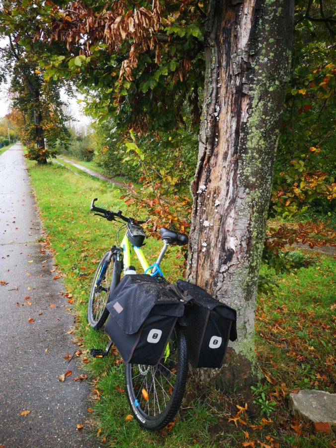 Steven Deschuyteneer 3 daags Limburg Belgie veganistisch fietsuitstapje fiets